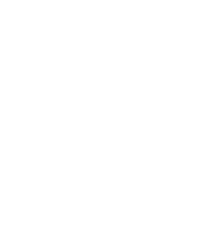 Deine Wahl logo